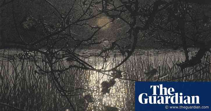 Country diary: starlings put on a show, but not for Instagram