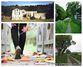 The best autumnal walking routes around York