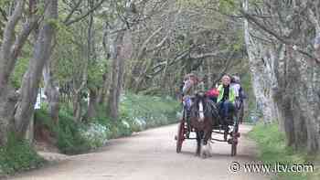 Sark entrepreneur trying to bring 100 new residents to the island | ITV News - ITV News