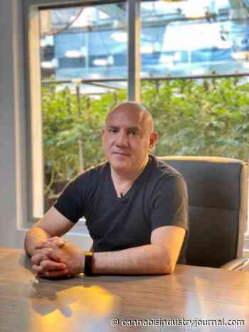 Being an American Cannabis Entrepreneur in Europe - Cannabis Industry Journal