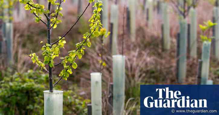 Governments urged to go beyond net zero climate targets