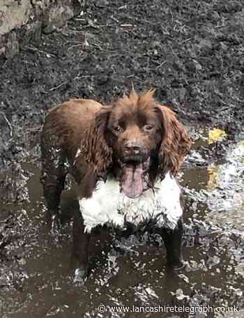 £20,000 cash and drugs discovery by police dog
