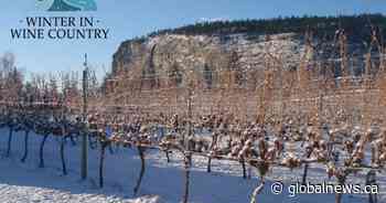 Osoyoos Winter in Wine Country Festival