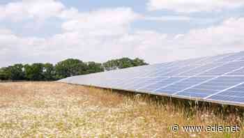 Tesco to co-create three UK solar farms