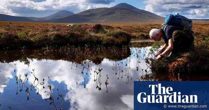 World heritage status for Scottish peat bogs could help UK hit net zero goals