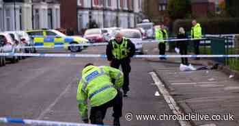 Man arrested in connection with alleged Wallsend hit-and-run released on bail