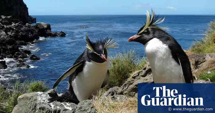 Tiny Atlantic island takes giant leap towards protecting world's oceans