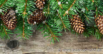 So können kleine Händer ihr Weihnachtsgeschäft in Corona-Zeiten optimieren