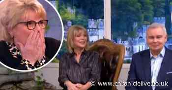 Why Brenda Blethyn sent apology to This Morning's Ruth and Eamonn