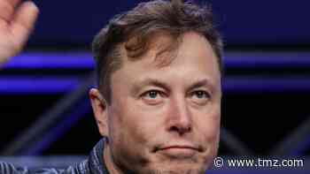 Elon Musk Says 4 Rapid Coronavirus Tests Gave Him Split Results