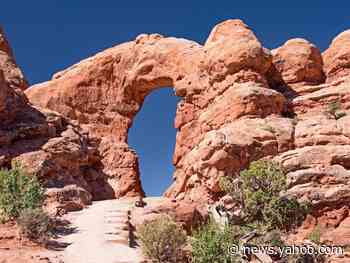 The family of a woman decapitated by a loose fence is suing Arches National Park, saying an $8 padlock would have prevented her death