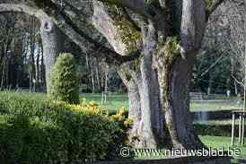 Natuurpunt plant toekomstbomen