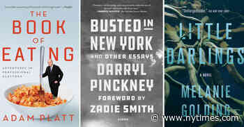 New in Paperback: ‘Busted in New York’ and ‘Little Darlings’