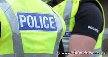 Family dog killed in Sunderland collision as police appeal for information