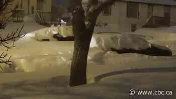 Swift Current, Maple Creek municipal, school board elections postponed due to snowstorm - CBC.ca