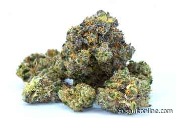 Sault Area Chamber of Commerce Welcomes Northern Light Cannabis to the Community
