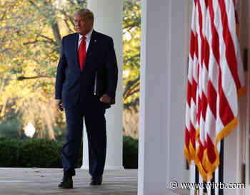 President Trump predicts coronavirus vaccine will be widely available as soon as April