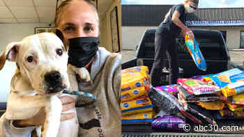 Animal Rescue gives back to struggling families who can't afford to provide for their pets