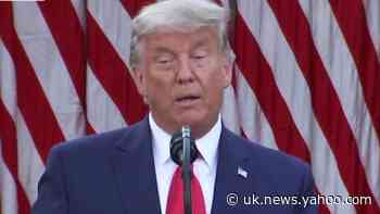 Trump: Expect emergency authorization for COVID-19 vaccine very soon