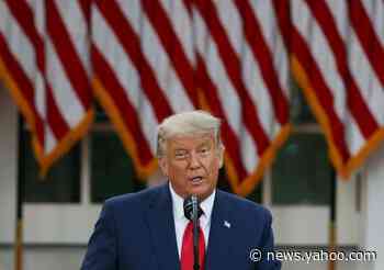 'Time will tell': Trump comes closest yet to admitting defeat