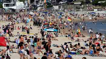 Drones to watch NSW beaches from today