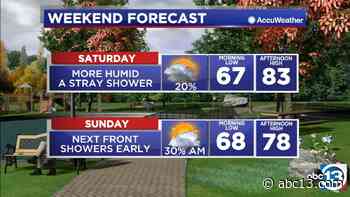 Houston weather: Warmer and more humid until Sunday's cool front - KTRK-TV