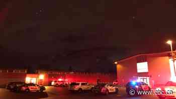 Boy, 11, in life-threatening condition after falling through skylight at Victoria Park Collegiate