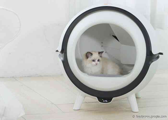 Catson automatic cleaning cat litter box