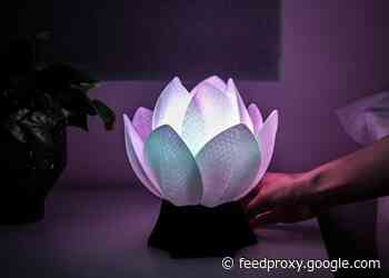 Lotos Relax Lamp offers immersive relaxation