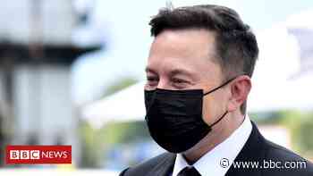 Coronavirus: Elon Musk 'likely has moderate case' - BBC News
