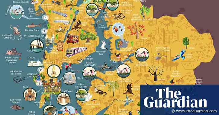 From concrete to jungle: cartoonist puts Mumbai's wildlife on the map