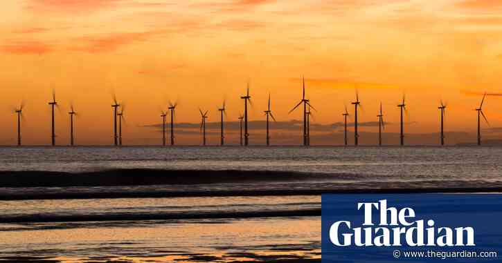Big UK offshore windfarms push risks harming habitats, say campaigners