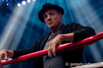 Sylvester Stallone Cast in The Suicide Squad, Director James Gunn Reveals