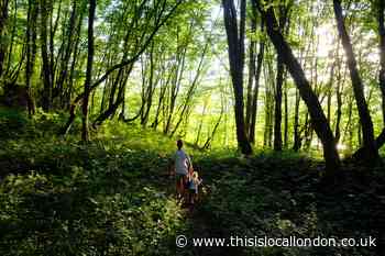 Epping Forest Heritage Trust congratulated for its efforts