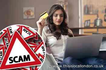 Black Friday and Christmas shoppers warned of online scams
