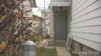 'What kind of grandfather needs 140 plants?': Neighbours fed up with dozens of medical marijuana grow-ops