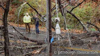 Downed Tree And Wires Close Thompson Run Road In Both Directions