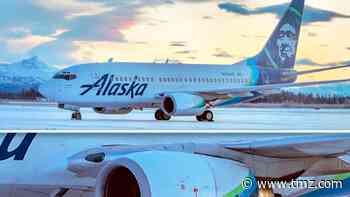 Alaska Airlines Plane Kills Bear While Landing