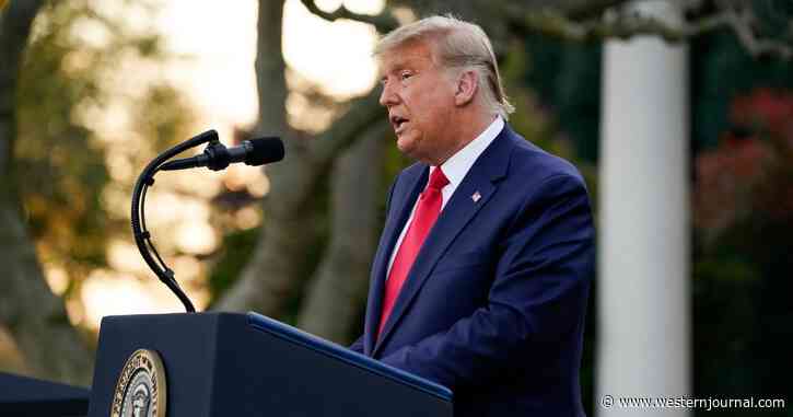 Trump Vows Not To Execute National Lockdown, Promises COVID Vaccine Soon
