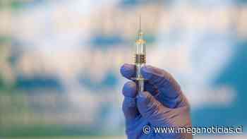 Vacuna contra el coronavirus: BioNTech espera un retorno a la normalidad dentro de un año - Meganoticias