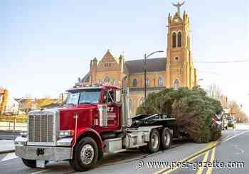 Hill District woman donates her tree to Pittsburgh for decorative display