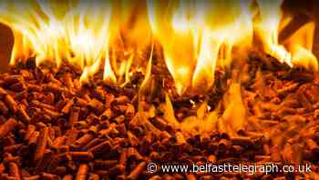 Only one member of Civil Service is disciplined after RHI inquiry