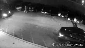 Video shows men firing a gun in a Toronto parking lot metres away from bystander - CTV Toronto
