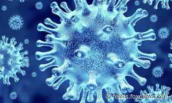 Passport Canada roasted after encouraging passport renewals for winter vacations