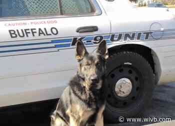 Buffalo Police announce passing of retired BPD K-9 Stark