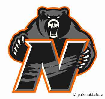 Stars get revenge against Bears in Saskatoon - Prince Albert Daily Herald