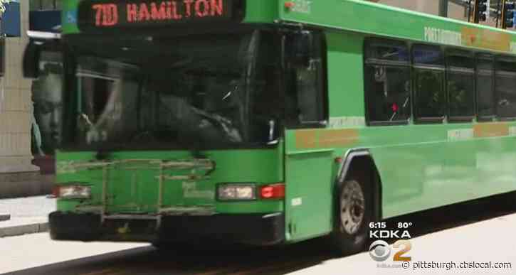 NEXTransit: Port Authority To Hold Online Meetings, Asking For Public Input