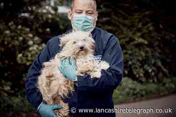 RSPCA braced for toughest Christmas yet