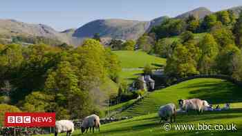 Fibre broadband: The cost of delivering in rural areas