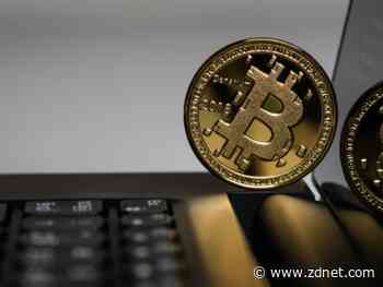 Cryptocurrency platform dangles ‘bug bounty’ carrot to hacker who stole $2 million